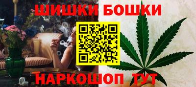 стаф Бердск