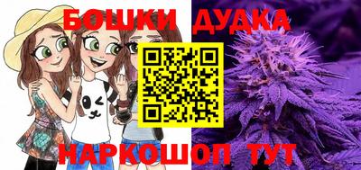 a pvp Братск