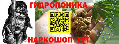 a pvp Братск