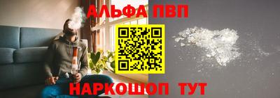 стаф Бердск