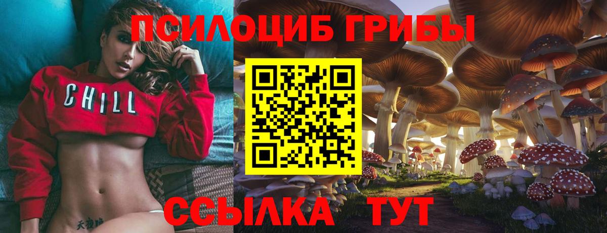 Бахчисарай  Галлюциногенные грибы GOLDEN TEACHER  Псилоцибиновые грибы Cubensis  Вход с VPN 