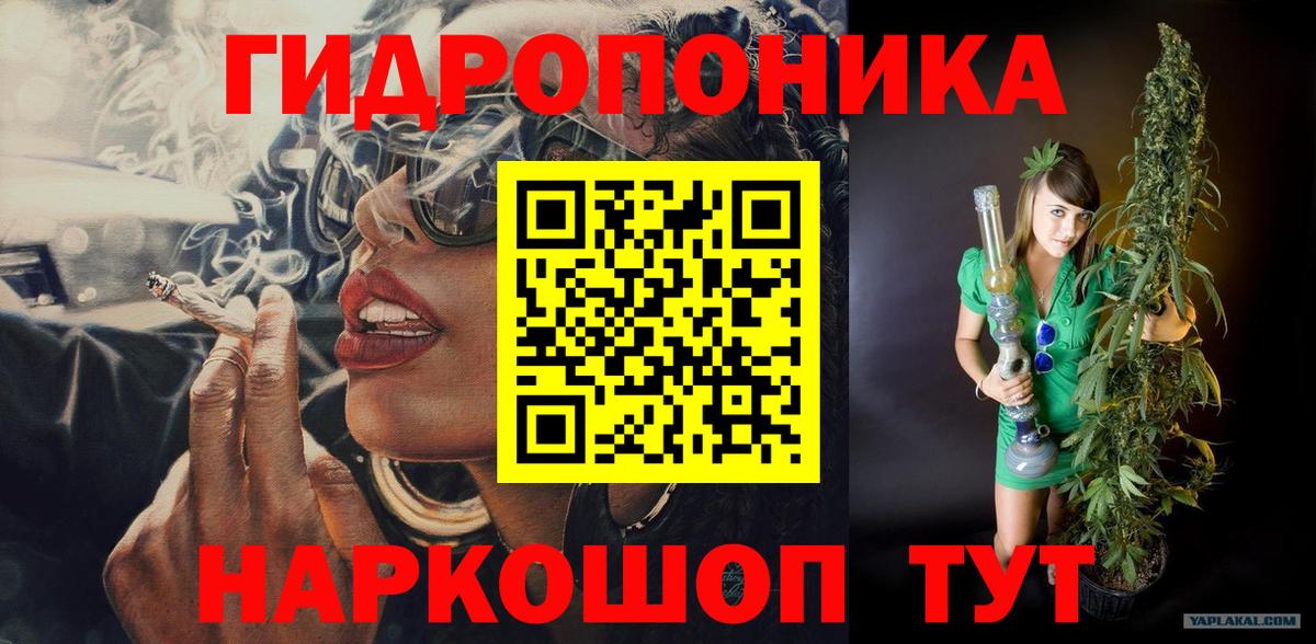 Бахчисарай  Каннабис THC 21%  Шишки марихуана план  Вход с VPN  Бошки Шишки OG Kush 